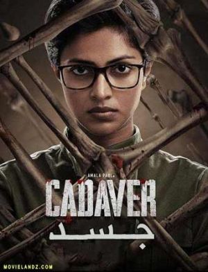 جسد