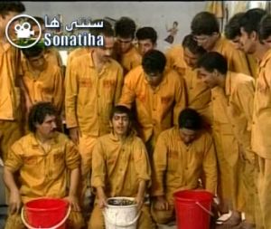 بازگشت پرستوها