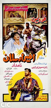 امیر ارسلان نامدار
