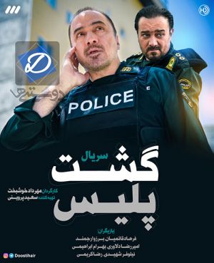 گشت پلیس