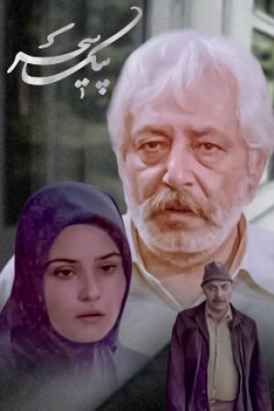 پیک سحر