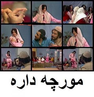 مورچه داره