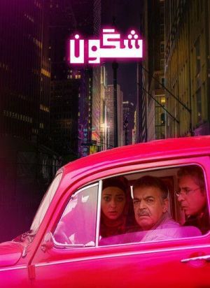 شگون