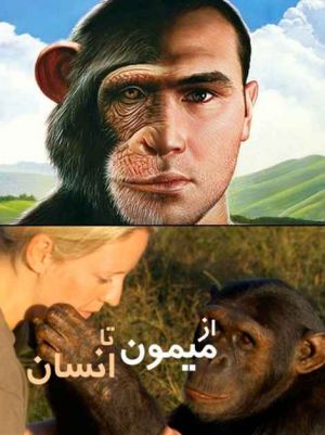 از میمون تا انسان