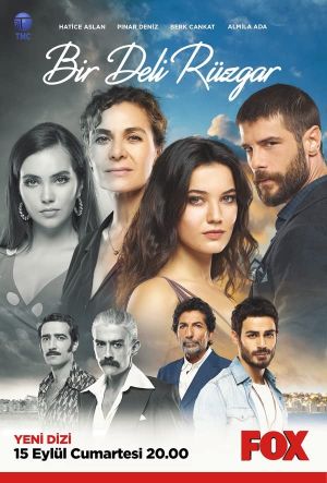 یک باد تند