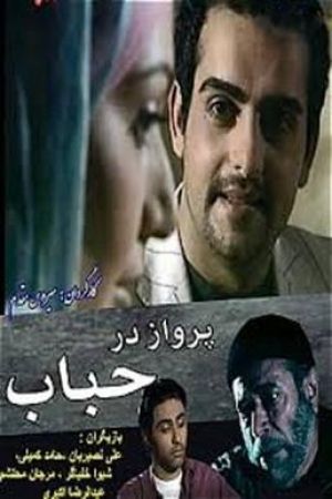 پرواز در حباب