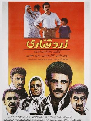 زرد قناری